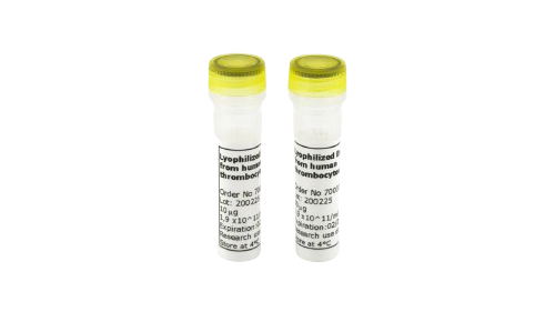 Lyophilized Exosomes Reference Standard